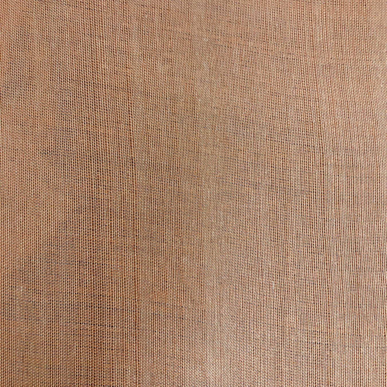 Saree - Brown shades