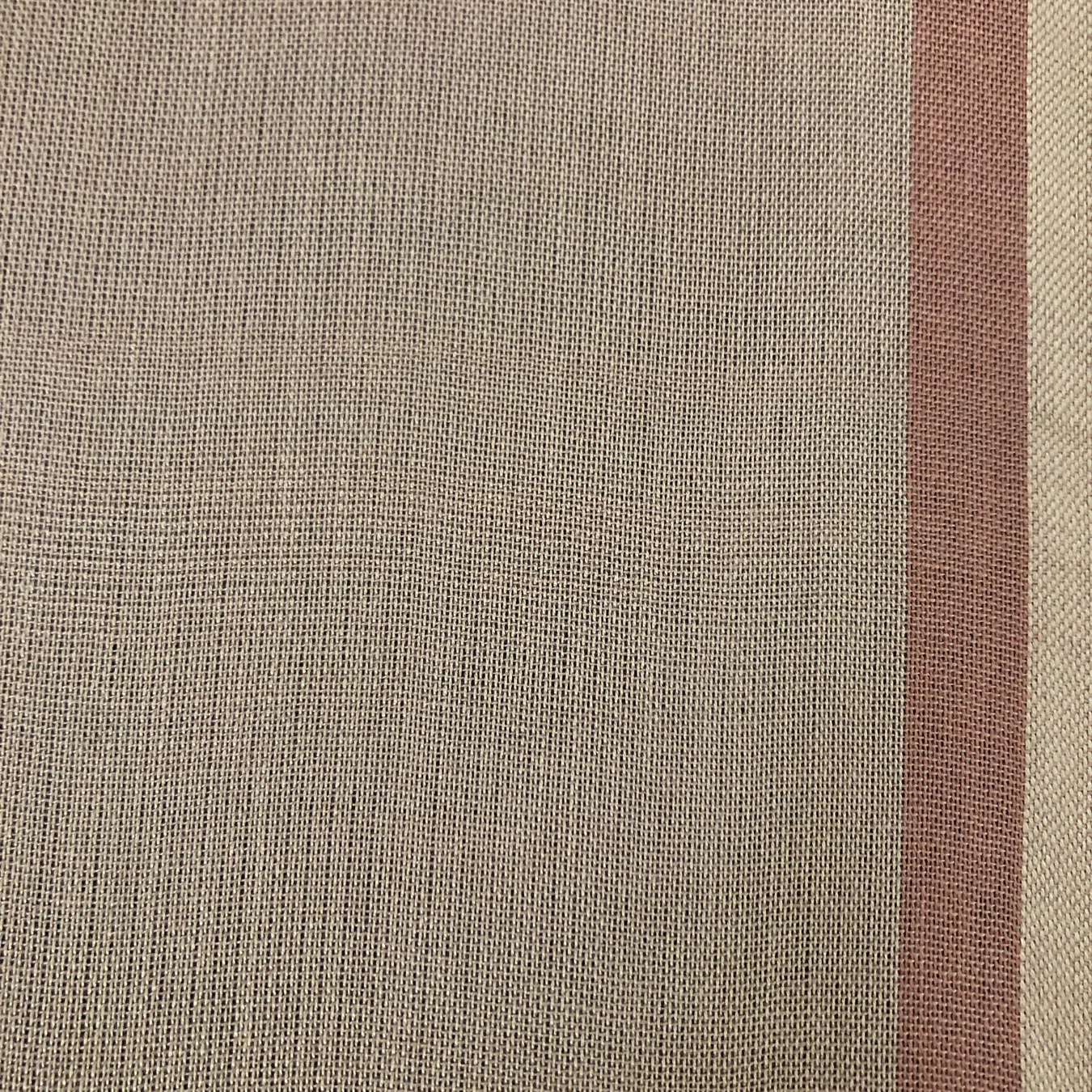 Saree - Cream & Brown shades