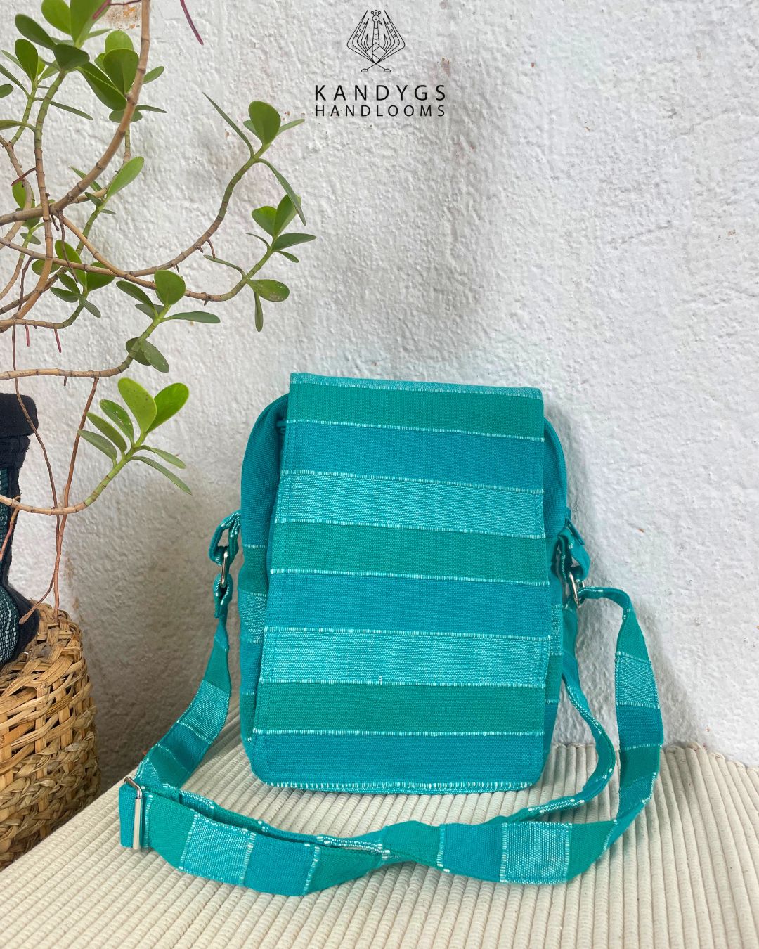 Organizer bag