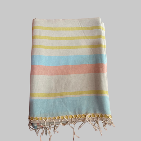 Saree -Pastel Shades