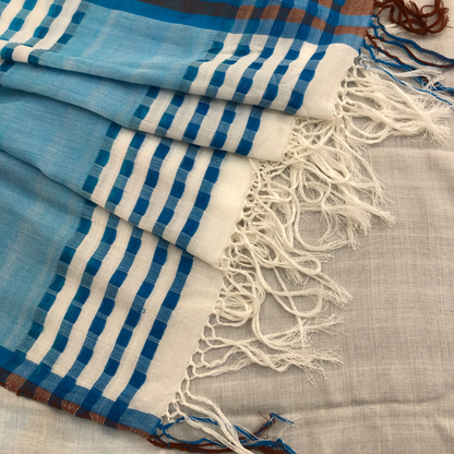 Saree -  White, Blue & Brown