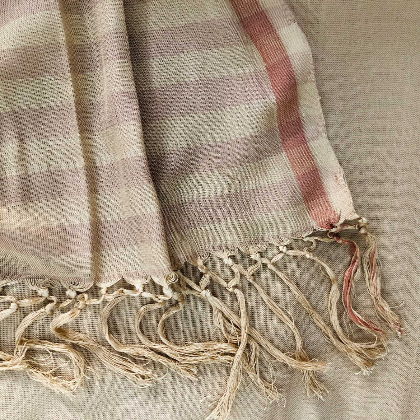 Saree - Cream & Brown shades