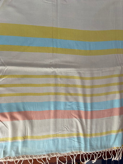 Saree -Pastel Shades