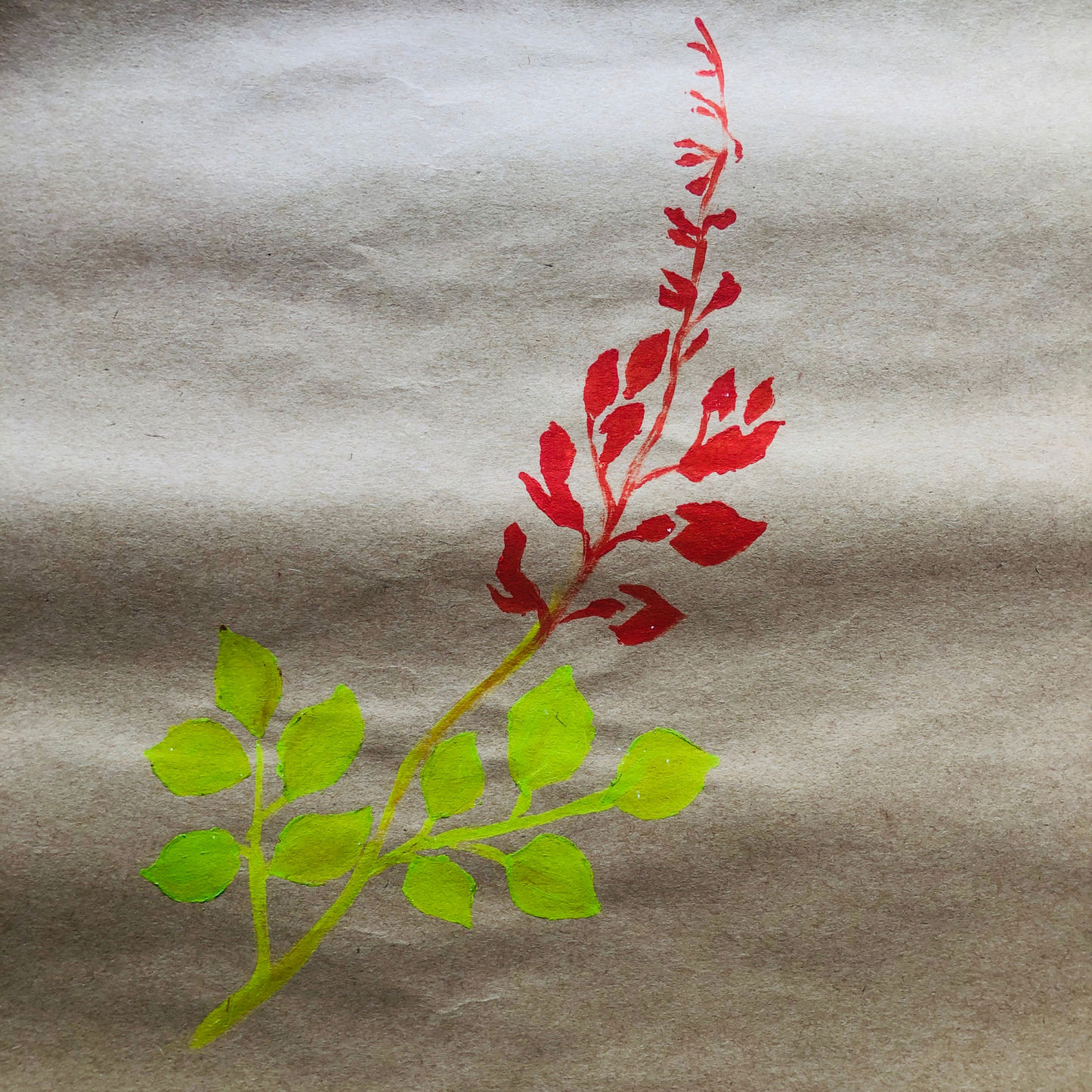 Hand Painted Gift Wrapping Papers - Erabadu