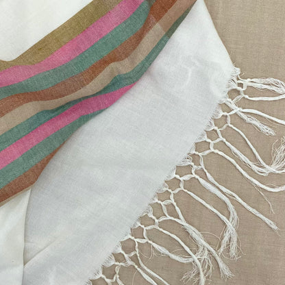 Saree - Beige and white