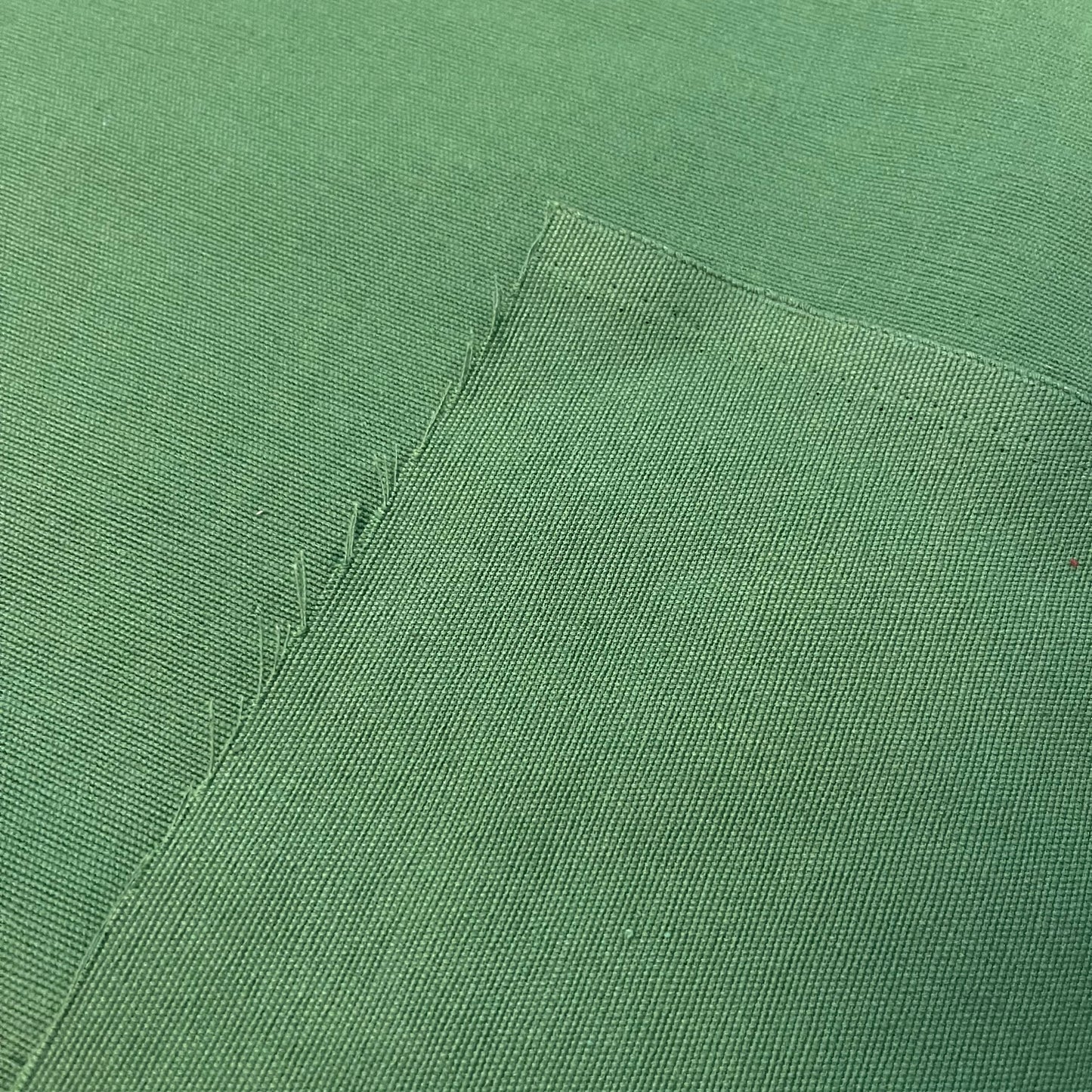 Fabric - Leaf Green