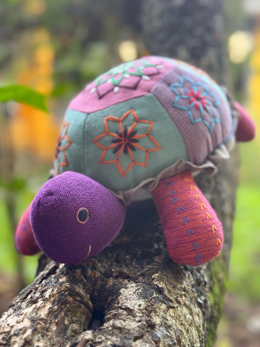 Kids Toy -  Star Tortoise