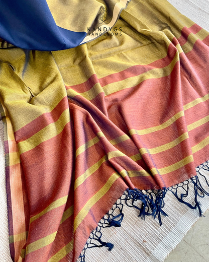 Saree - Rust with blue
